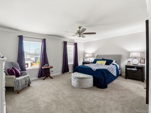 1375 Morningview Ln, Castle Rock, CO 80109