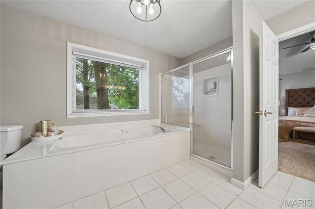 2 Forest Park Circle, Lake St Louis, MO 63367
