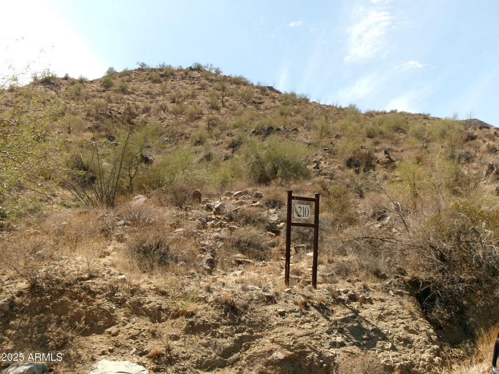 15624 N JAVELINA Trail 210, Fountain Hills, AZ 85268 — photo 5