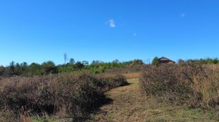 Lot #73 Shawnee Run, Rogers, KY 41365