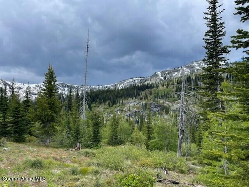 NKA 640 AC Shoot Creek Road, unincorporated, ID 83525 photo 11
