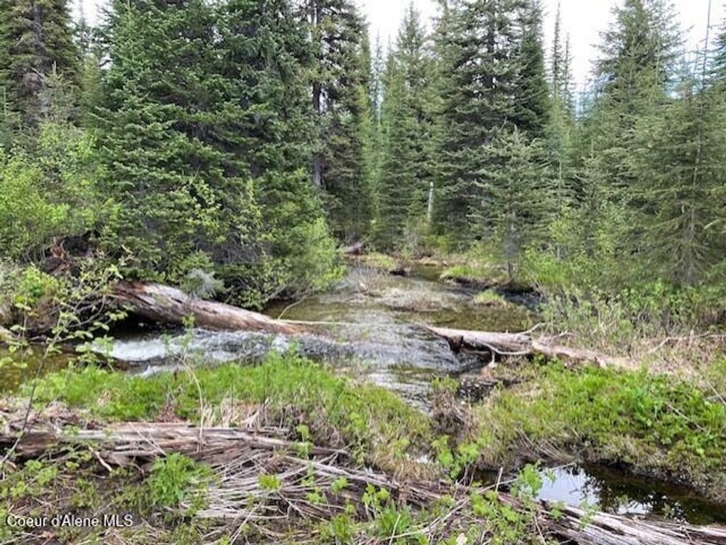 NKA 640 AC Shoot Creek Road, unincorporated, ID 83525 photo 17