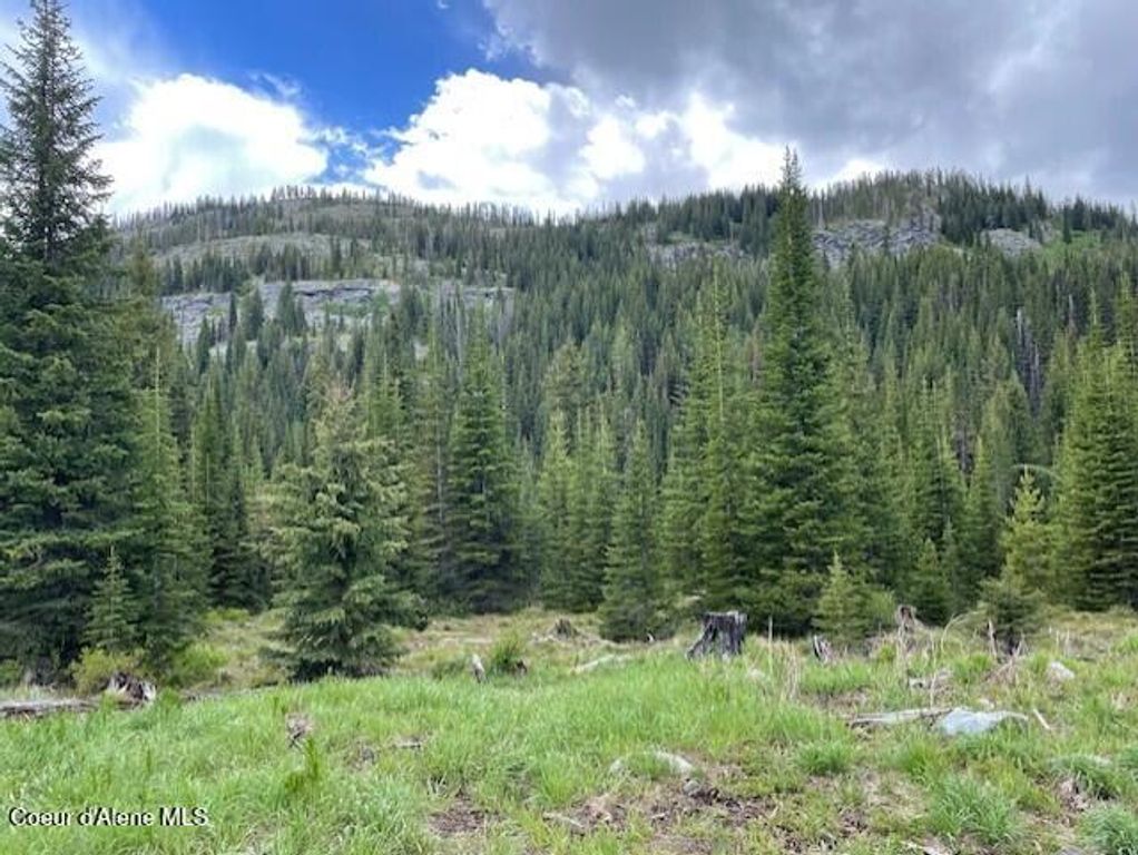 NKA 640 AC Shoot Creek Road, unincorporated, ID 83525 photo 2