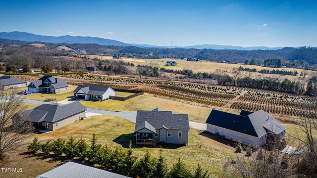 1492 Orchard View Lane, Piney Flats, TN 37686