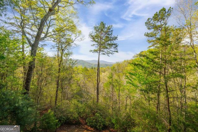 258 Dupont Drive, Blue Ridge, GA 30513
