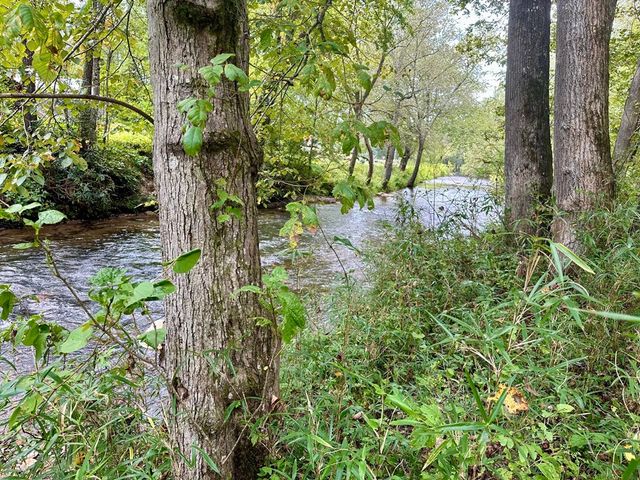TBD Creekfront Lane, Hayesville, NC 28904