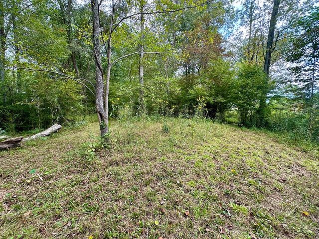 TBD Creekfront Lane, Hayesville, NC 28904