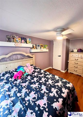 2252 Jake Drive, Dillon, SC 29536