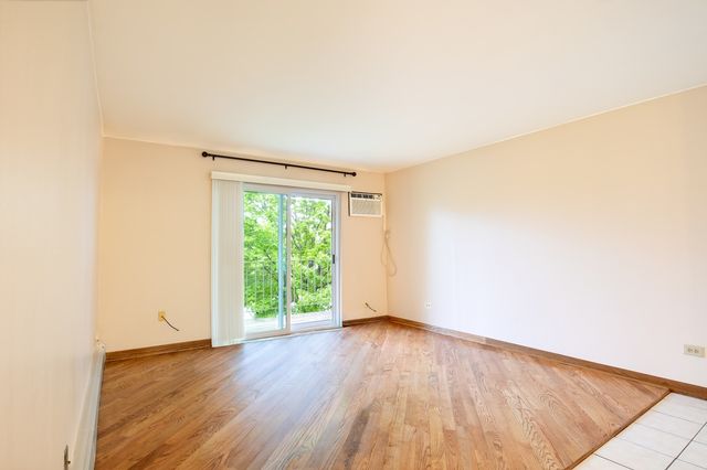 876 Blossom Lane 203, Prospect Heights, IL 60070