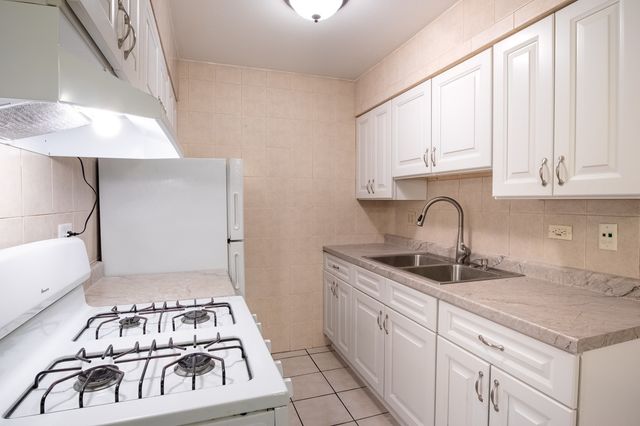 876 Blossom Lane 203, Prospect Heights, IL 60070