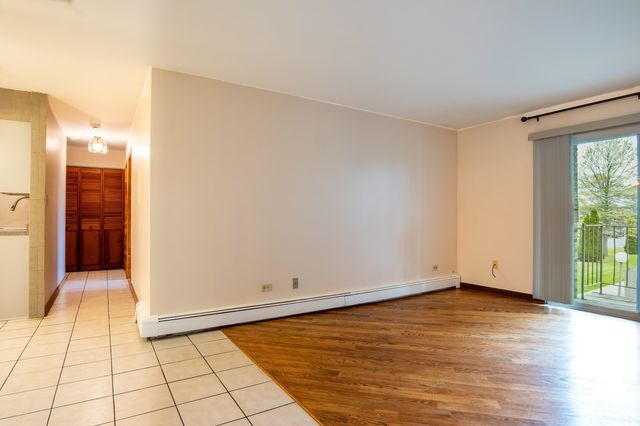 876 Blossom Lane 203, Prospect Heights, IL 60070