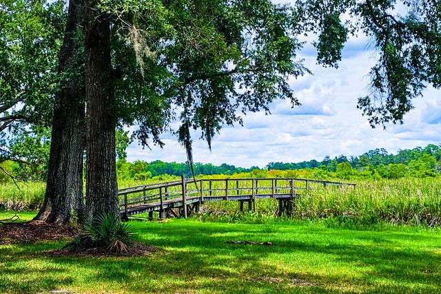 192 Lazy Bee Lane, Green Pond, SC 29446