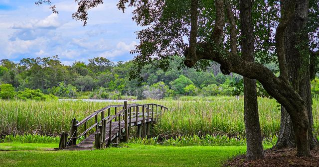 192 Lazy Bee Lane, Green Pond, SC 29446