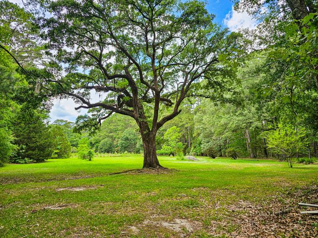 192 Lazy Bee Lane, Green Pond, SC 29446