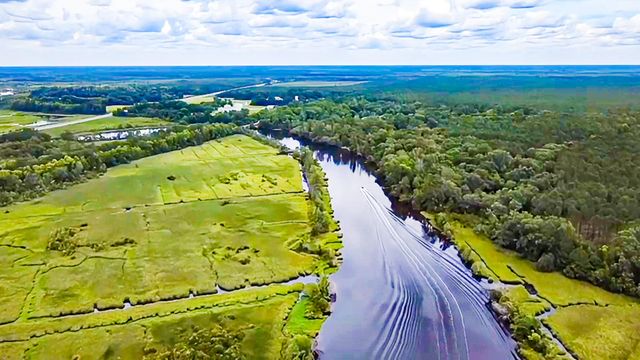 192 Lazy Bee Lane, Green Pond, SC 29446