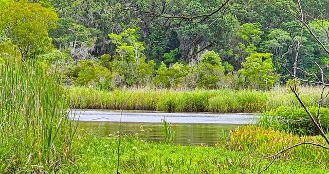 192 Lazy Bee Lane, Green Pond, SC 29446