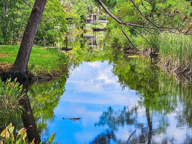 192 Lazy Bee Lane, Green Pond, SC 29446