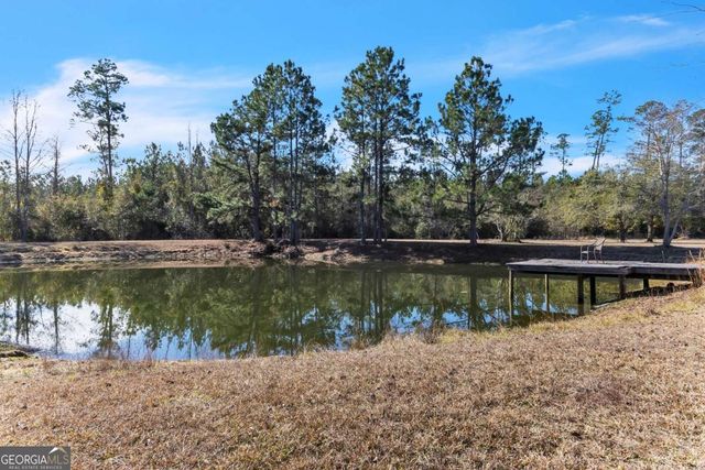 223 Hardy Johnson Road, Fargo, GA 31631