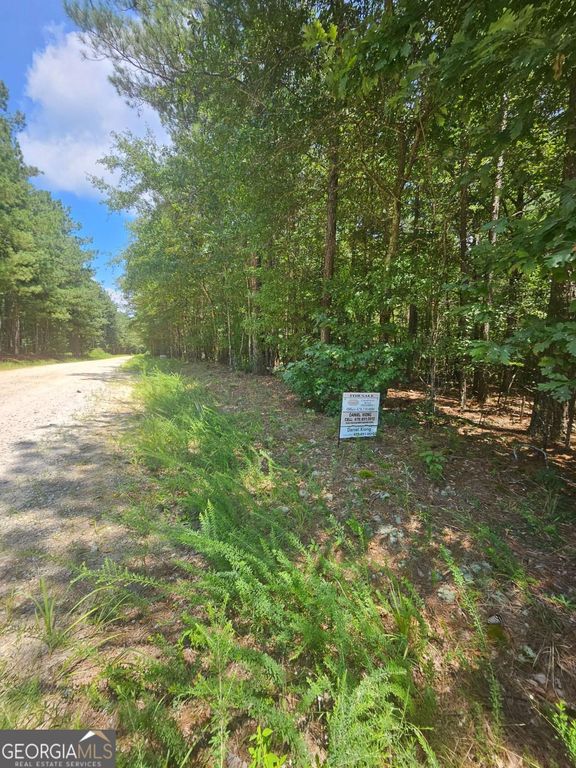 292 Mccannon Road TRACT 3, Carlton, GA 30627 — exterior