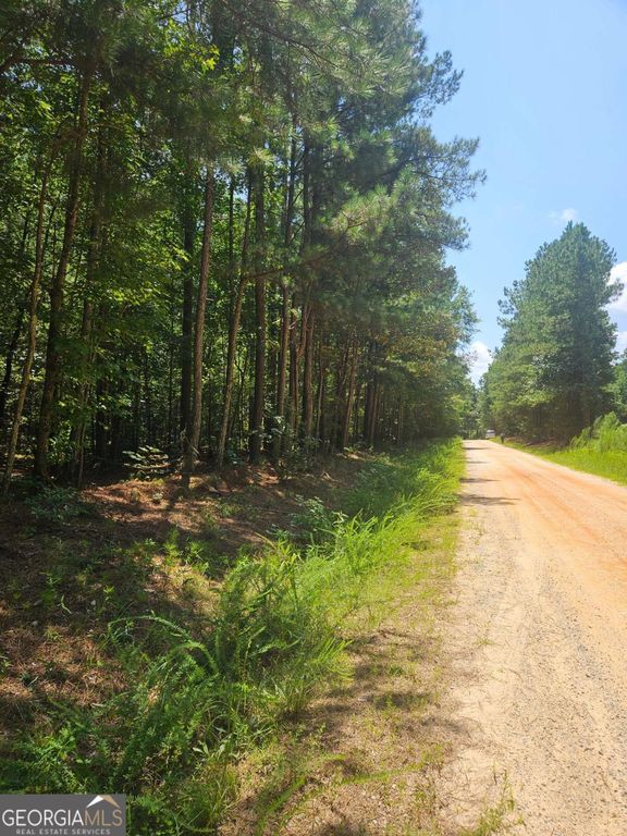 292 Mccannon Road TRACT 3, Carlton, GA 30627 — photo 2