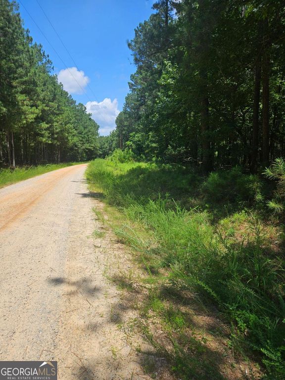 292 Mccannon Road TRACT 3, Carlton, GA 30627 — photo 3