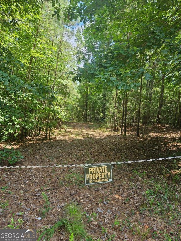 292 Mccannon Road TRACT 3, Carlton, GA 30627 — photo 4