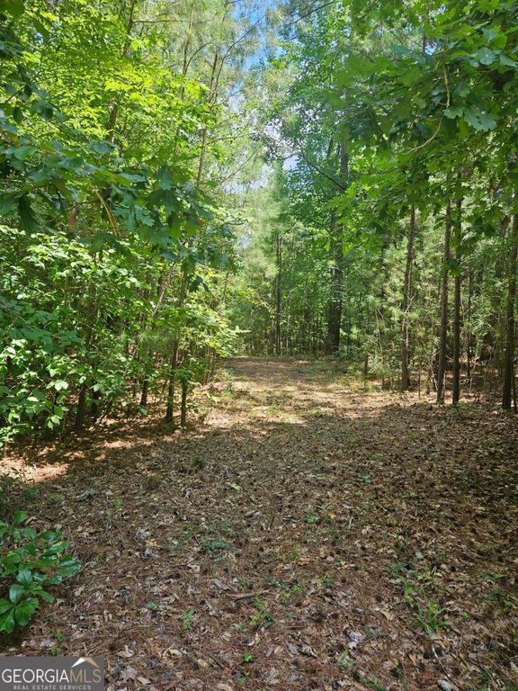 292 Mccannon Road TRACT 3, Carlton, GA 30627 — photo 5