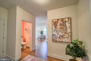 403 BOLD RULER CT #301, Havre De Grace, MD 21078