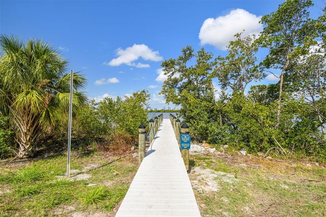 4706 TUSCAN LOON DRIVE, Tampa, FL 33619