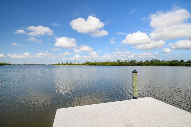 4706 TUSCAN LOON DRIVE, Tampa, FL 33619