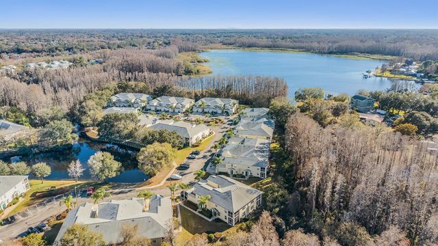 1827 HAMMOCKS AVENUE 1827, Lutz, FL 33549