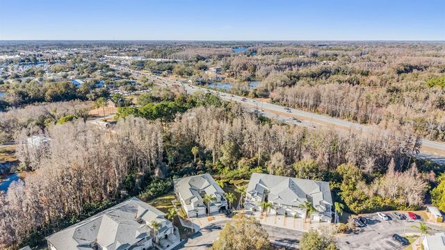 1827 HAMMOCKS AVENUE 1827, Lutz, FL 33549