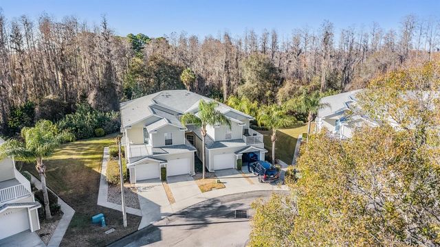 1827 HAMMOCKS AVENUE 1827, Lutz, FL 33549