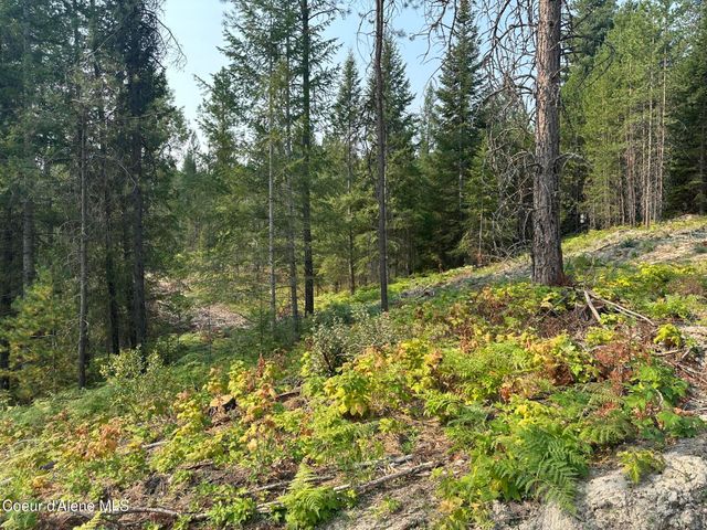 NNA Peninsula Loop Rd., Priest River, ID 83856