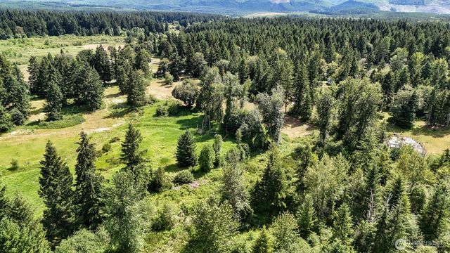 21842 Elbow Lake Road SE, Yelm, WA 98597