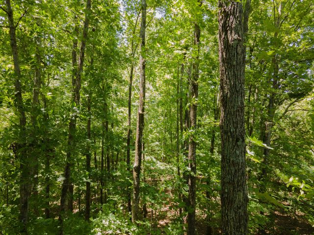 1 Highway 49 W, Ashland City, TN 37015