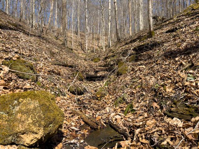 1 Highway 49 W, Ashland City, TN 37015