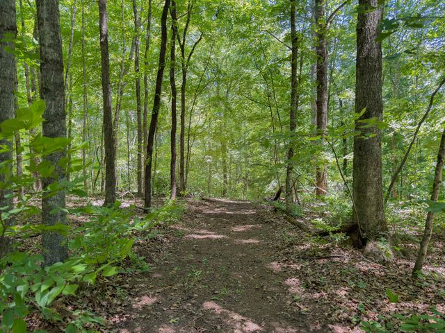 1 Highway 49 W, Ashland City, TN 37015