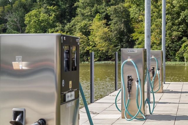 165 Wade Cv, Waverly, TN 37185