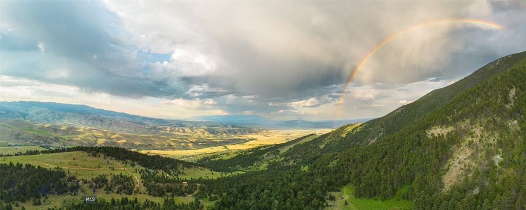 NHN Coyote Drive, Livingston, MT 59047