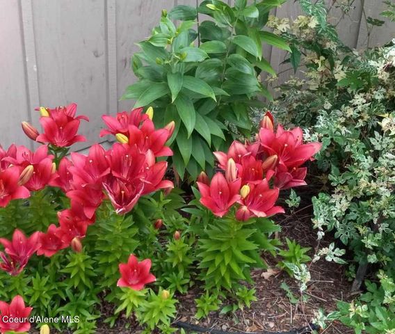 427 Wood Duck LN, Bonners Ferry, ID 83805