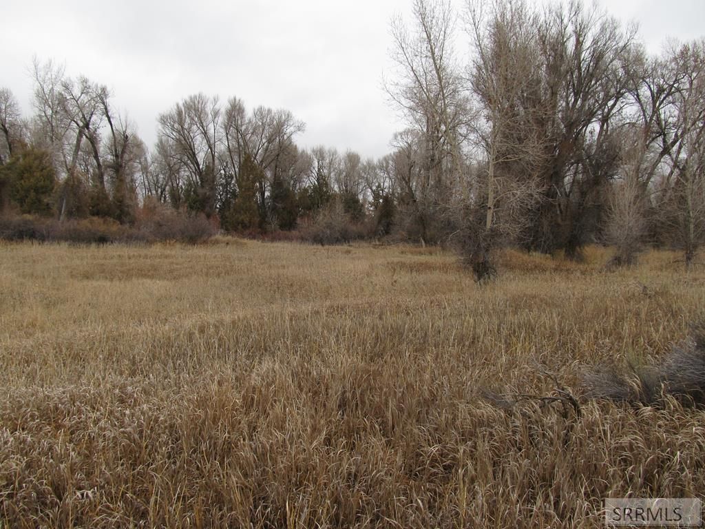 Image 1 of property listing at 4625 E 200 N, Rigby, ID 83442