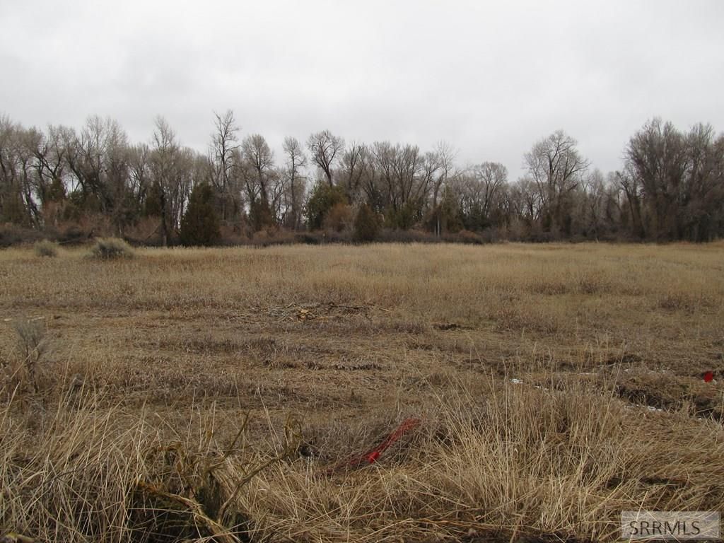 Image 3 of property listing at 4625 E 200 N, Rigby, ID 83442