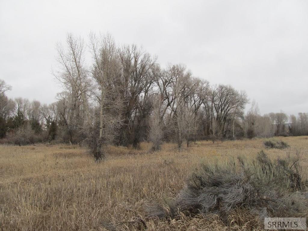 Image 6 of property listing at 4625 E 200 N, Rigby, ID 83442