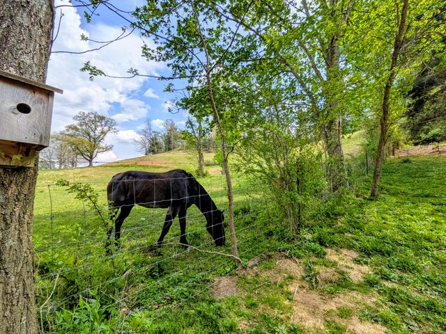 12251 US highway 421, Tyner, KY 40486