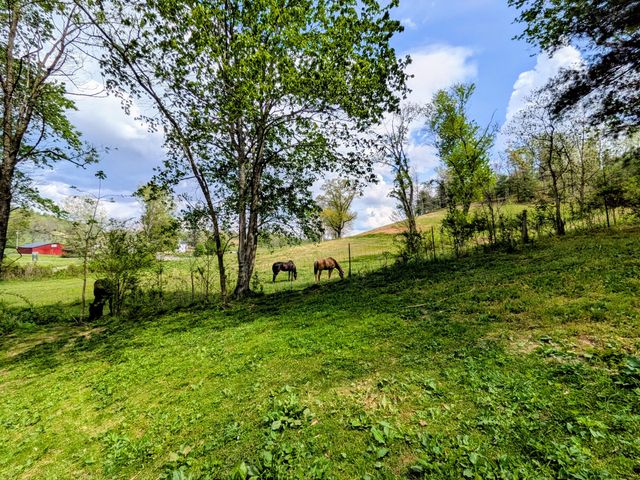 12251 US highway 421, Tyner, KY 40486