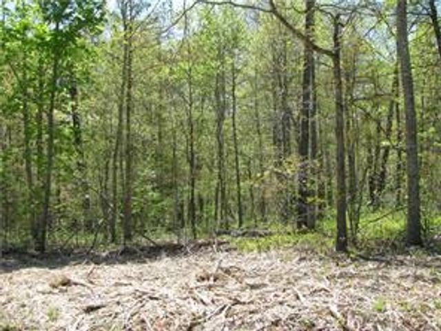 Argyll Drive, Bella Vista, AR 72715