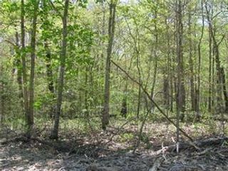 Argyll Drive, Bella Vista, AR 72715
