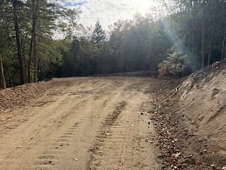 Merlin Sanitarium Road Lot #9, Merlin, OR 97532