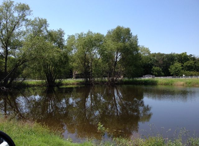 11321 Wild Rose Lane, Anna, TX 75409